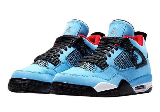 J4 - RETRO CACTUS