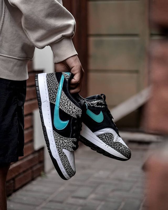 DUNK LOW