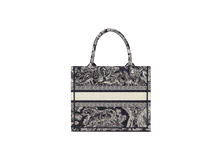 DIOR SMALL BOOK TOTE
