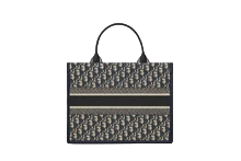 DIOR SMALL BOOK TOTE